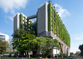 Begrünte Fassade