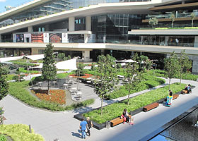 Green roof